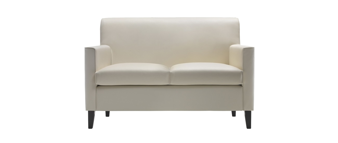2-х местный диван в современном стиле