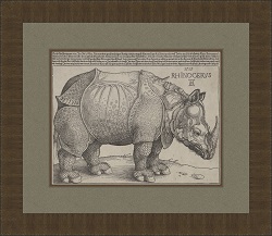 Репродукция картины А. Дюрера «Носорог», 1515. Вариант 1